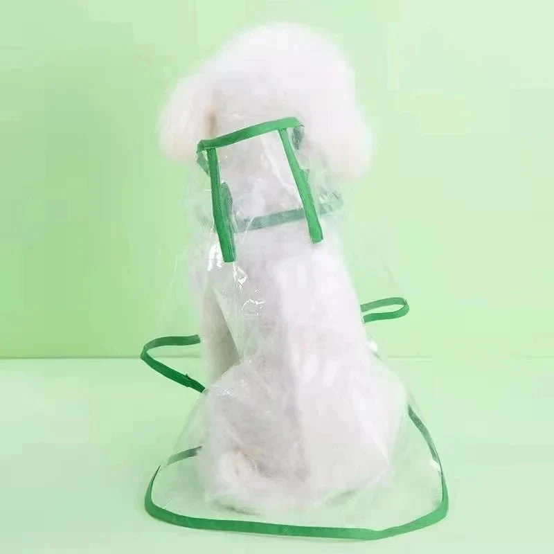 Veste de pluie transparente pour chien