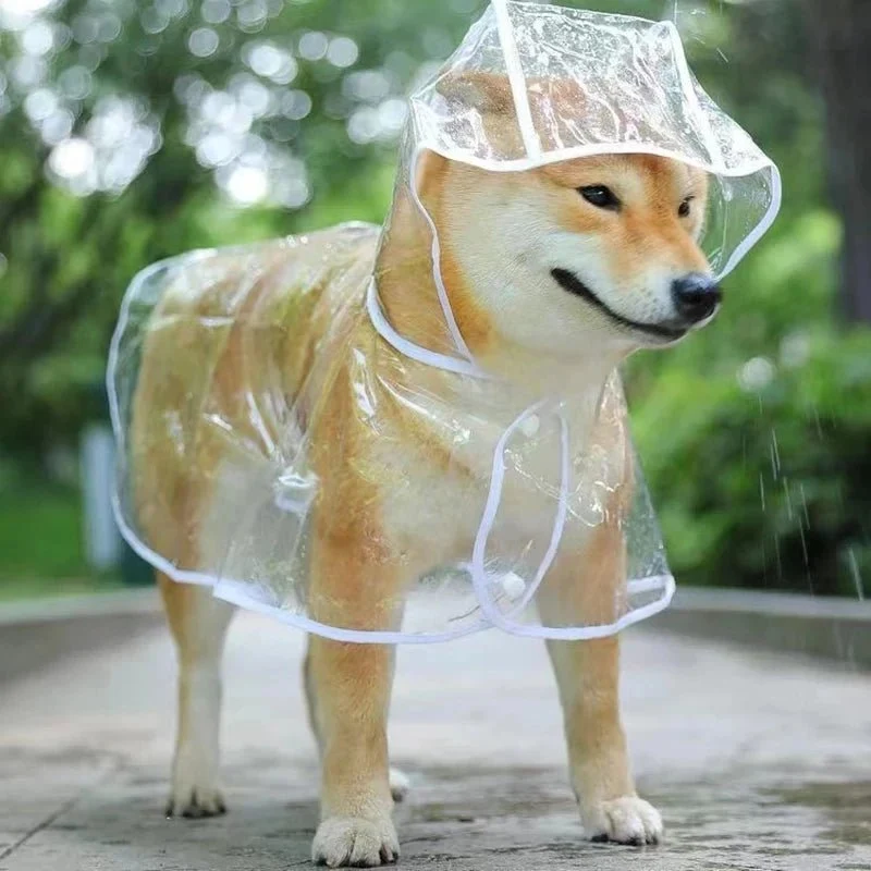 Veste de pluie transparente pour chien