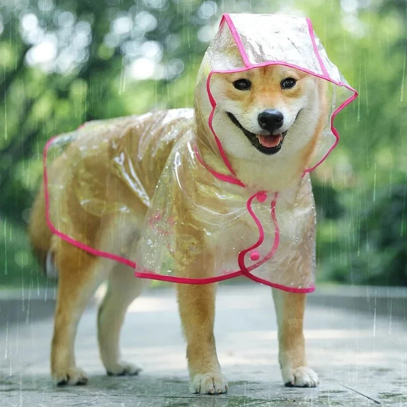 Veste de pluie transparente pour chien