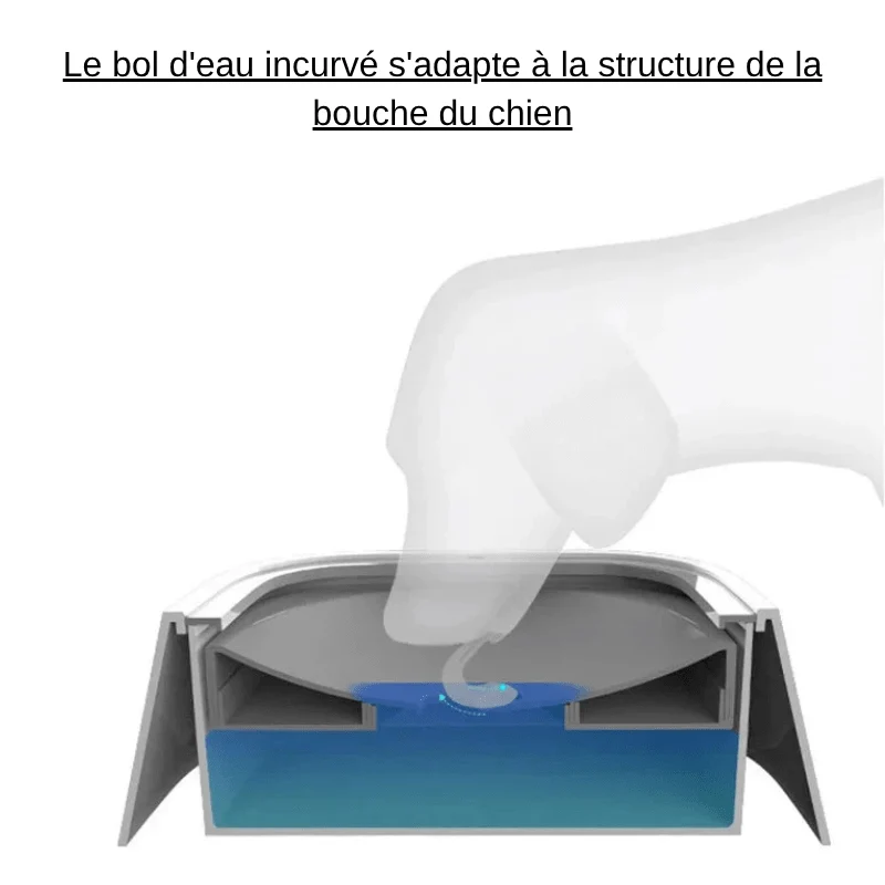 Gamelle à eau pour Chien