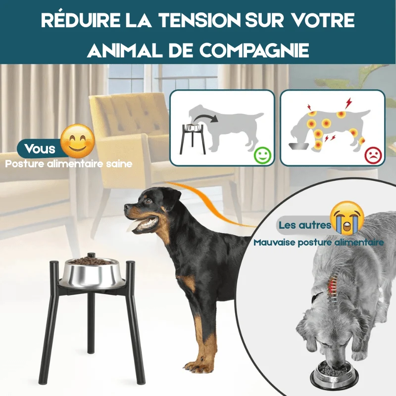Gamelle pour chien en hauteur design