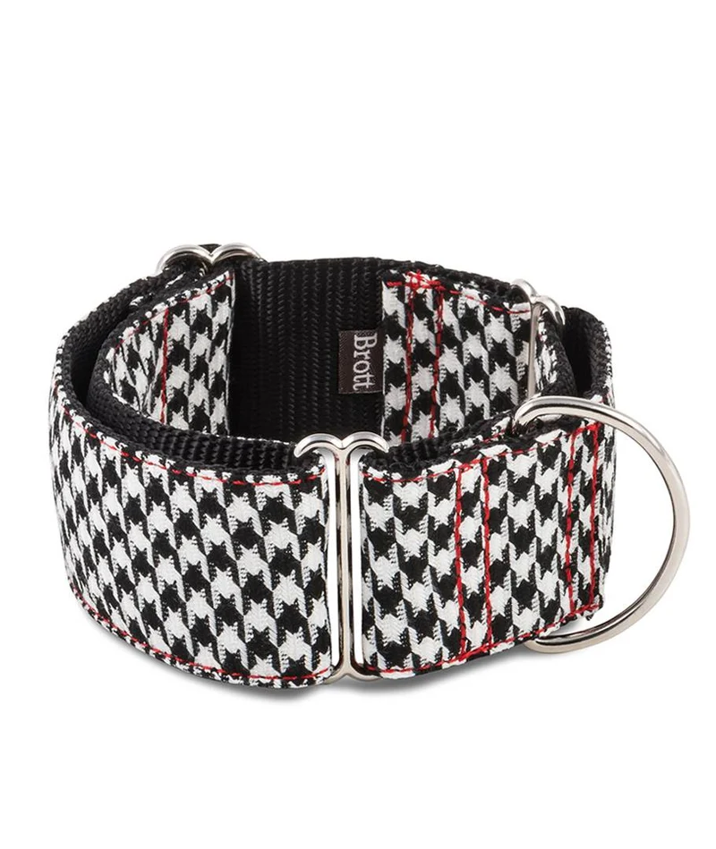 Collar para perro Ribes