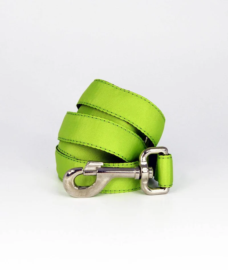 Collar para Galgo Solid Green