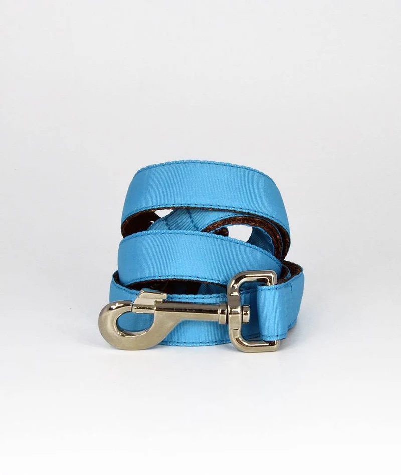 Collar para Galgo Solid Turquoise