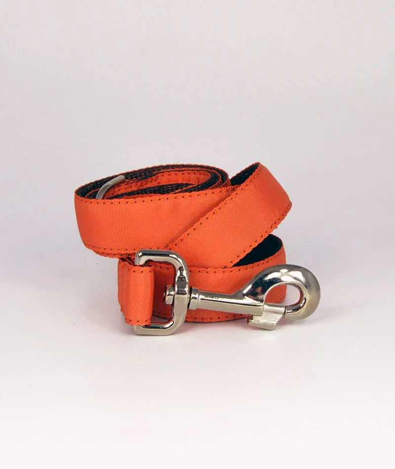 Collar para Galgo Solid Orange