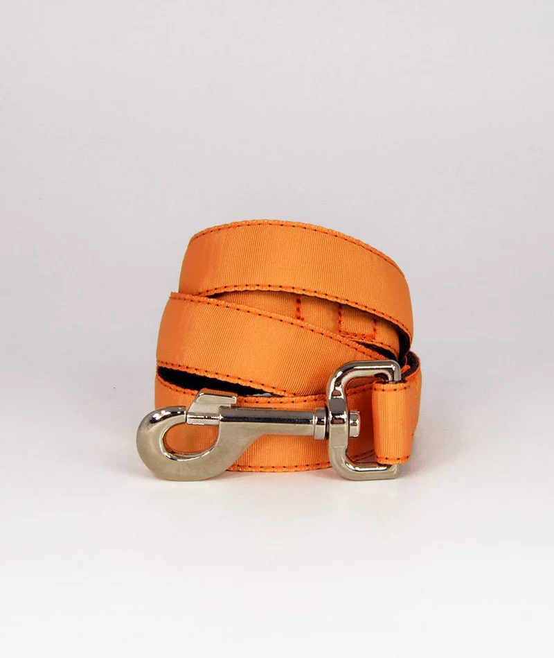 Collar para Galgo Solid Mandarin