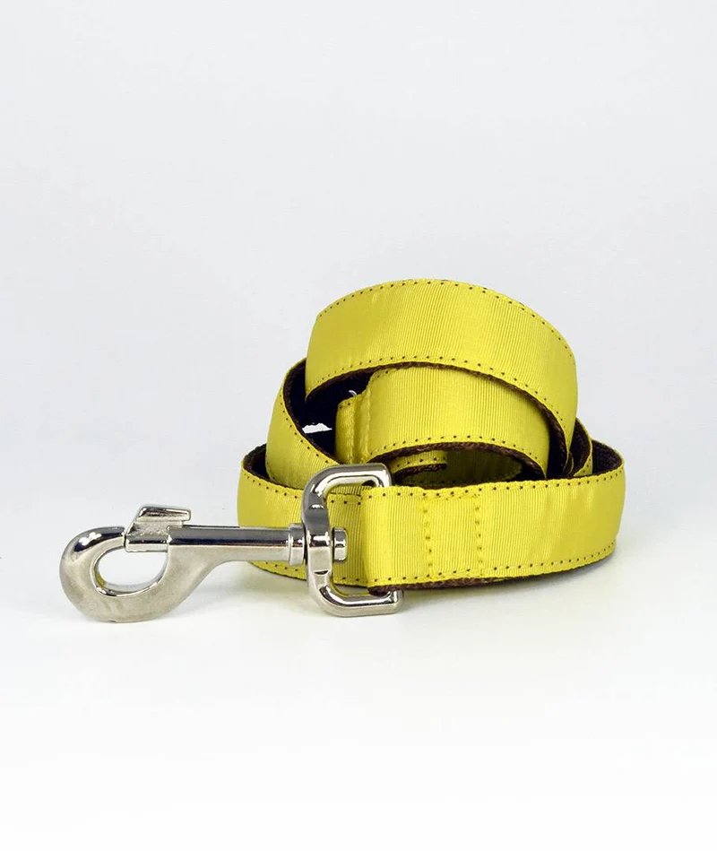 Collar para Galgo Solid Yellow
