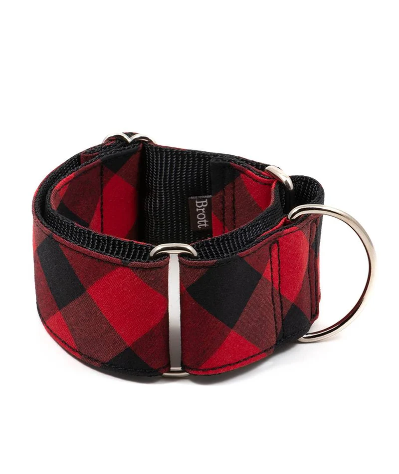 Collar para perro Bruc