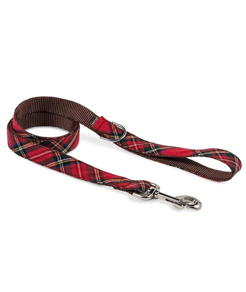 Collar para perro Tremp
