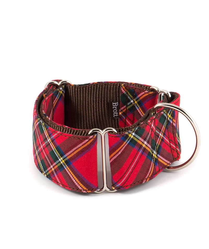 Collar para perro Tremp