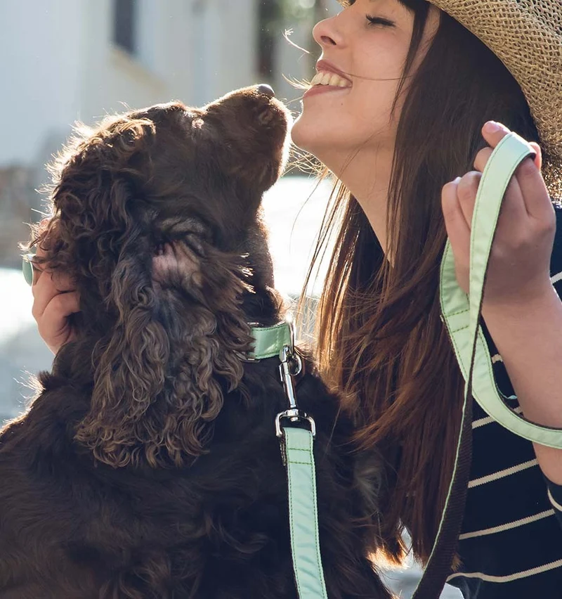 Collar para perro Solid Green Aqua