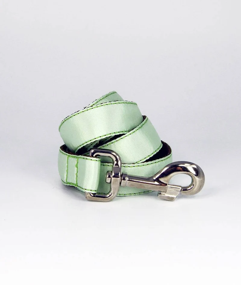Collar para perro Solid Green Aqua