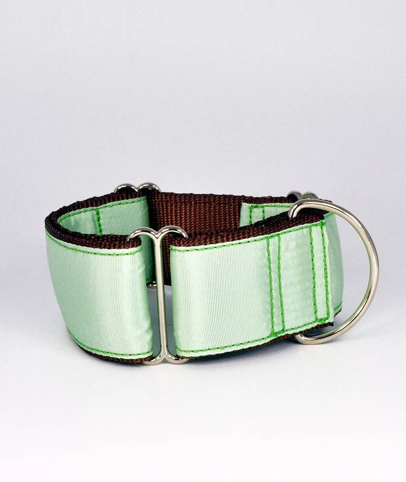 Collar para perro Solid Green Aqua