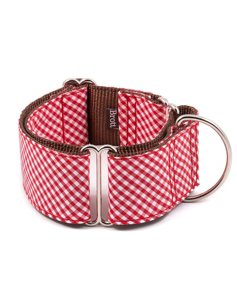 Collar para perro Maians