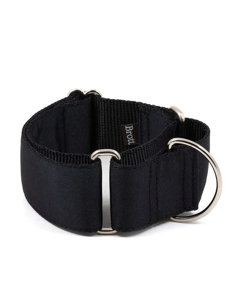 Collar para perro solid Black
