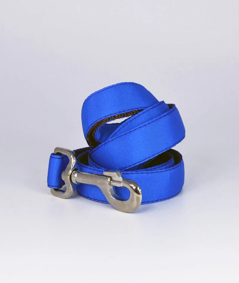 Collar para perro Solid Electric Blue
