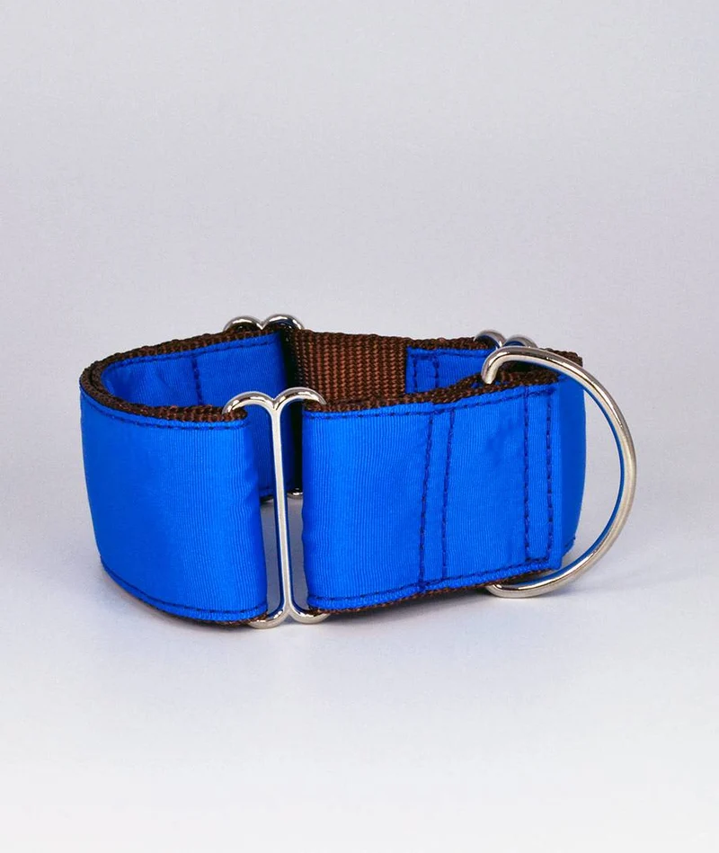 Collar para perro Solid Electric Blue