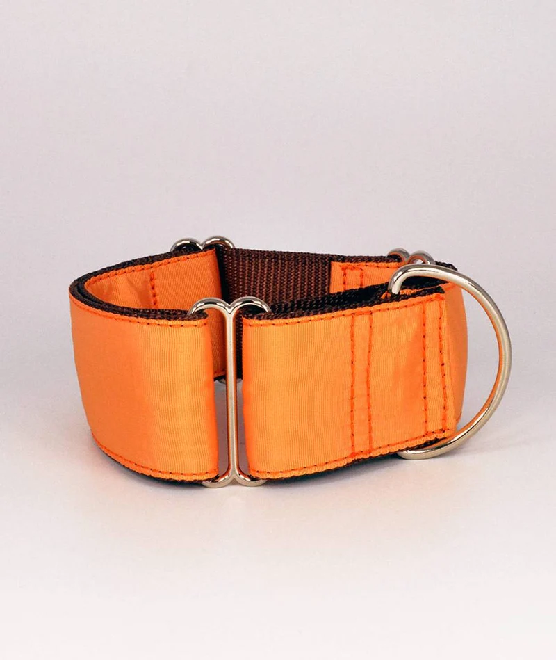 Collar para perro Solid Mandarin