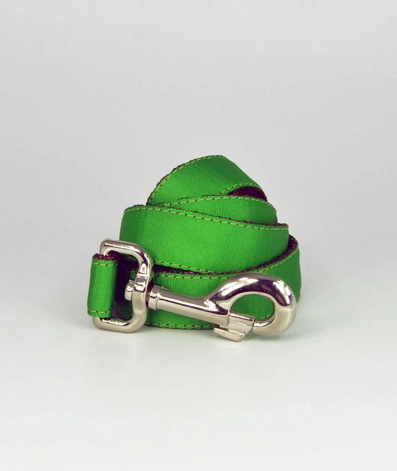 Collar para perro Solid Green Forest