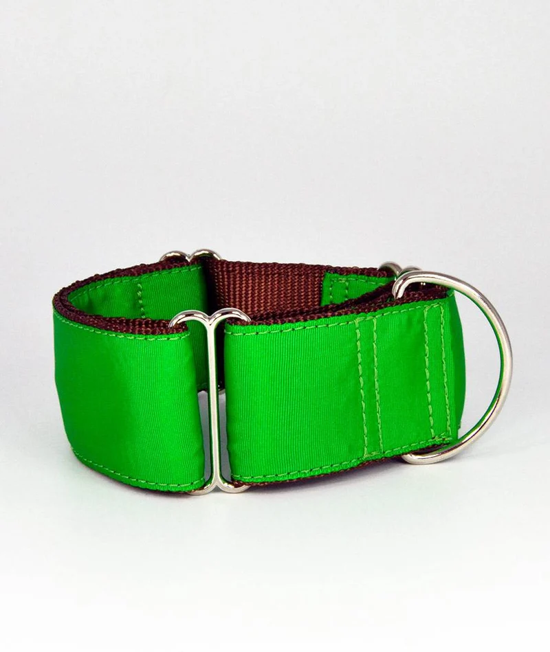 Collar para perro Solid Green Forest