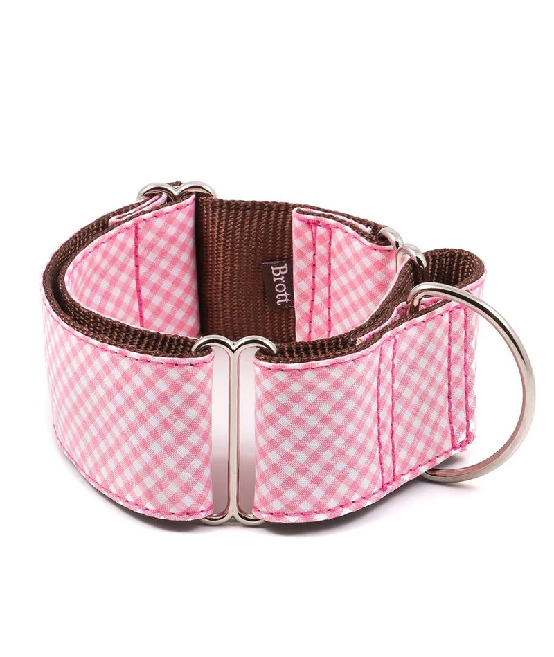 Collar para perro Vic