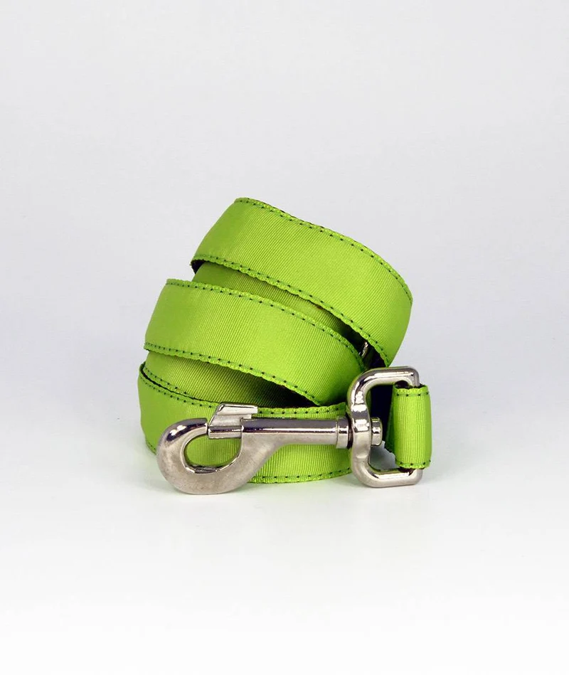 Collar para perro Solid Green