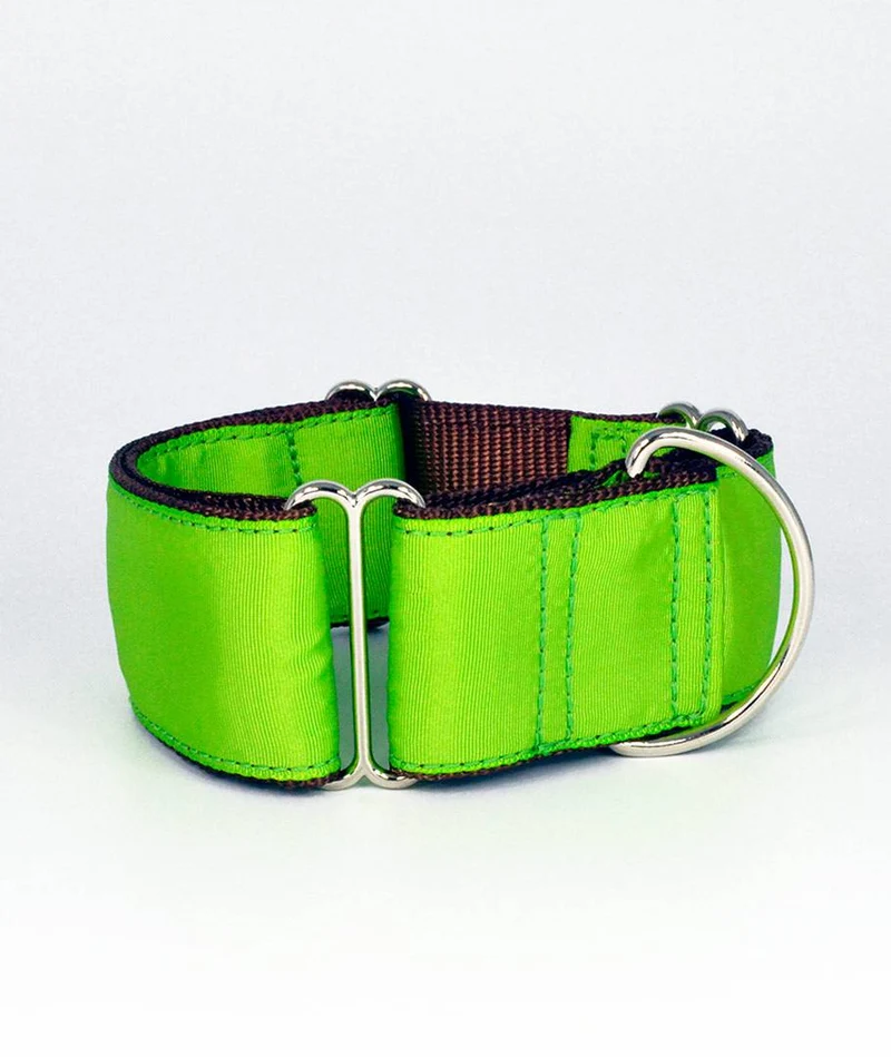 Collar para perro Solid Green