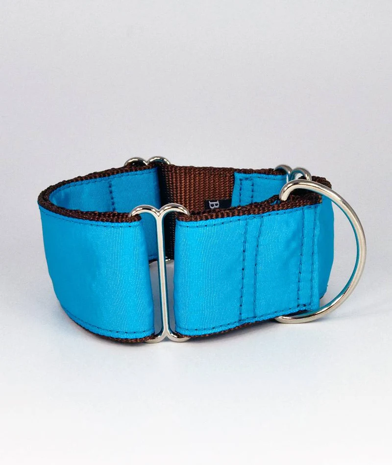 Collar para perro Solid Turquoise