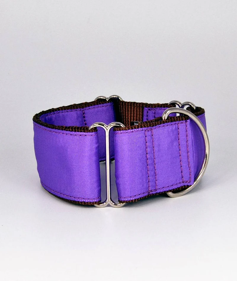 Collar para perro Solid Purple
