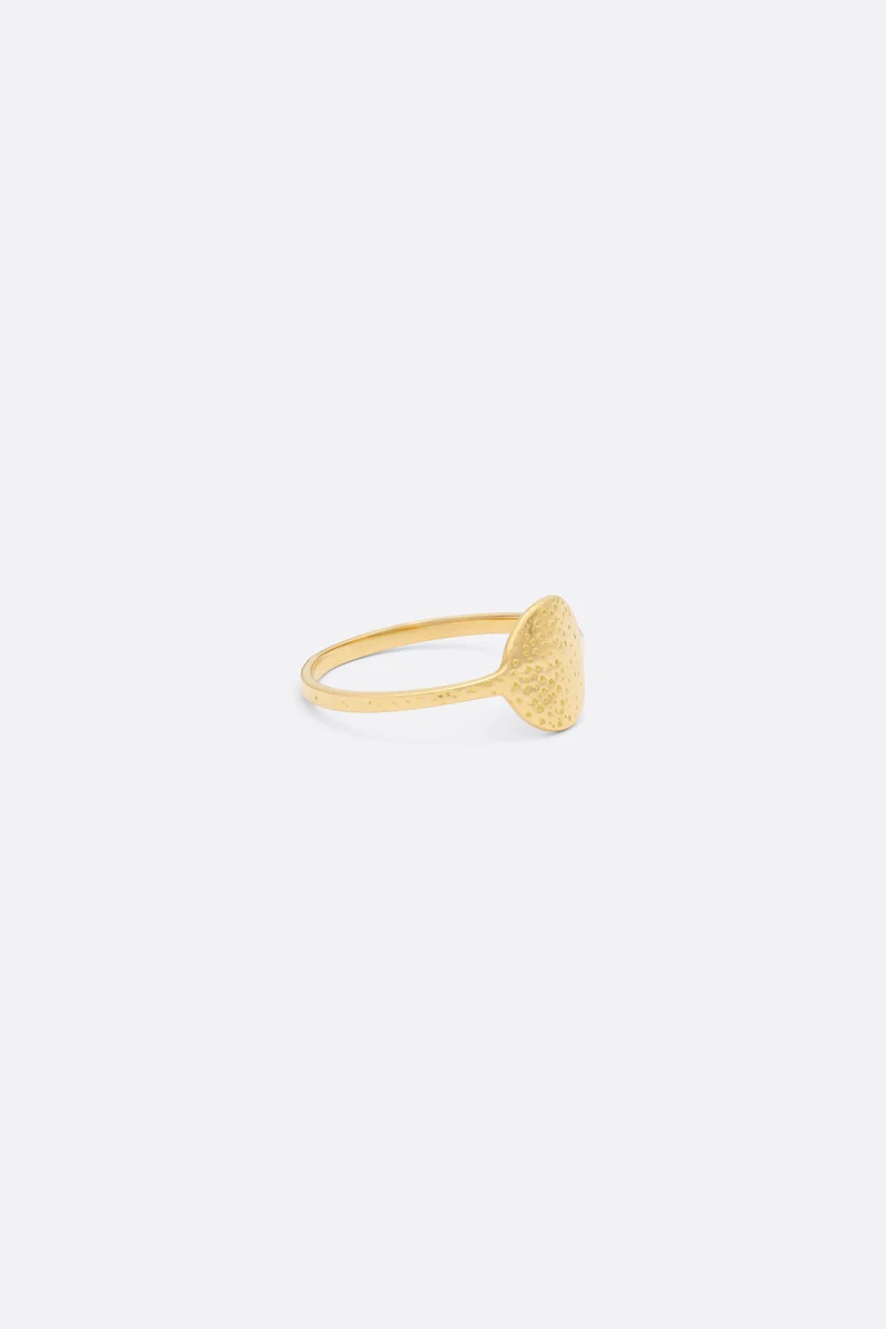 RING GARY