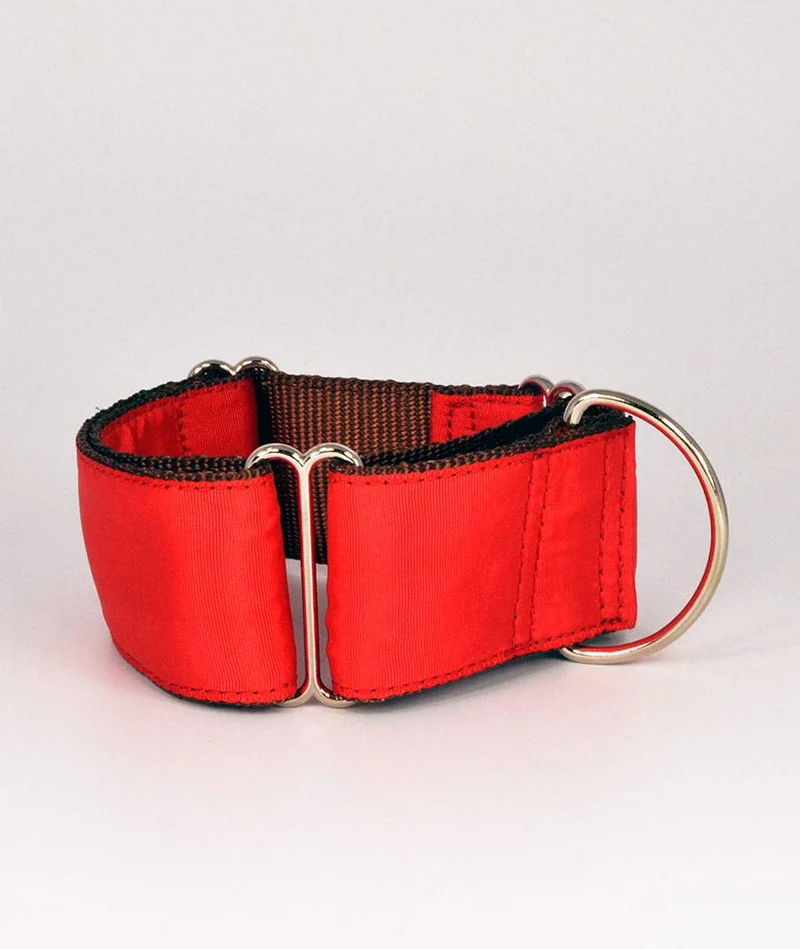 Collar para perro Solid Red