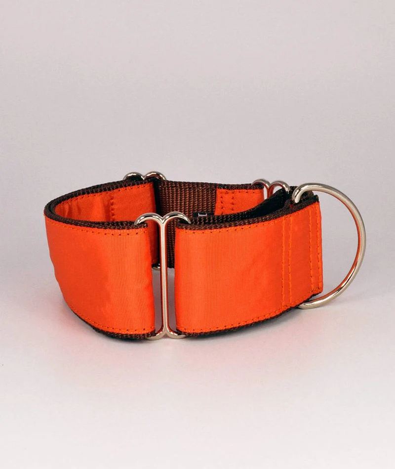 Collar para perro Solid Orange