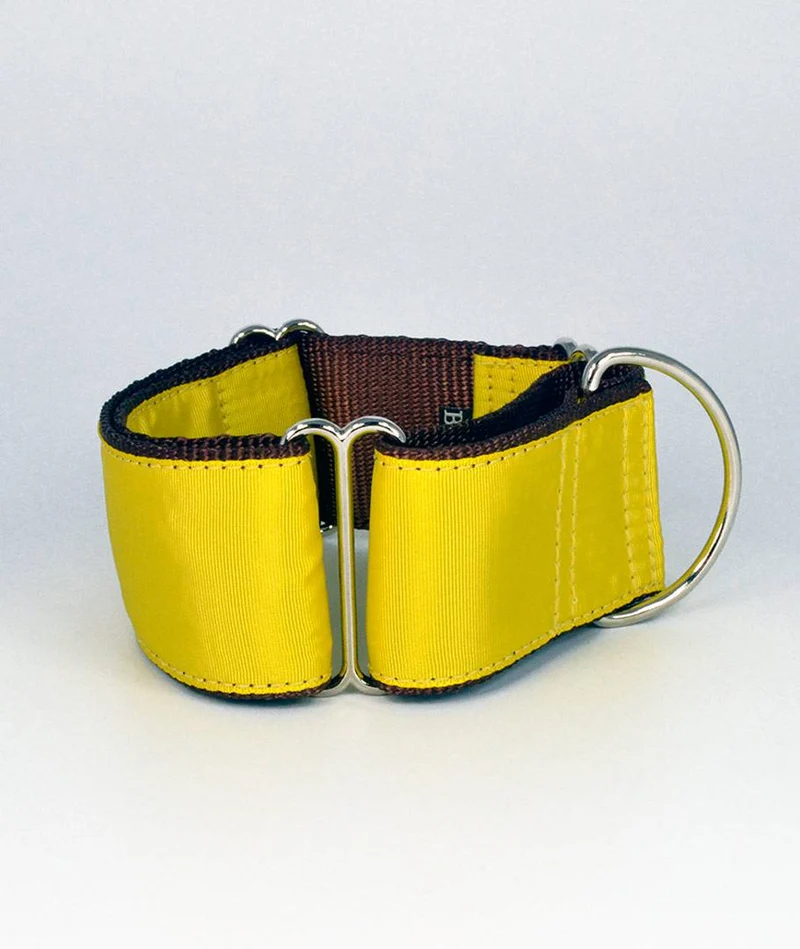 Collar para perro Solid Yellow