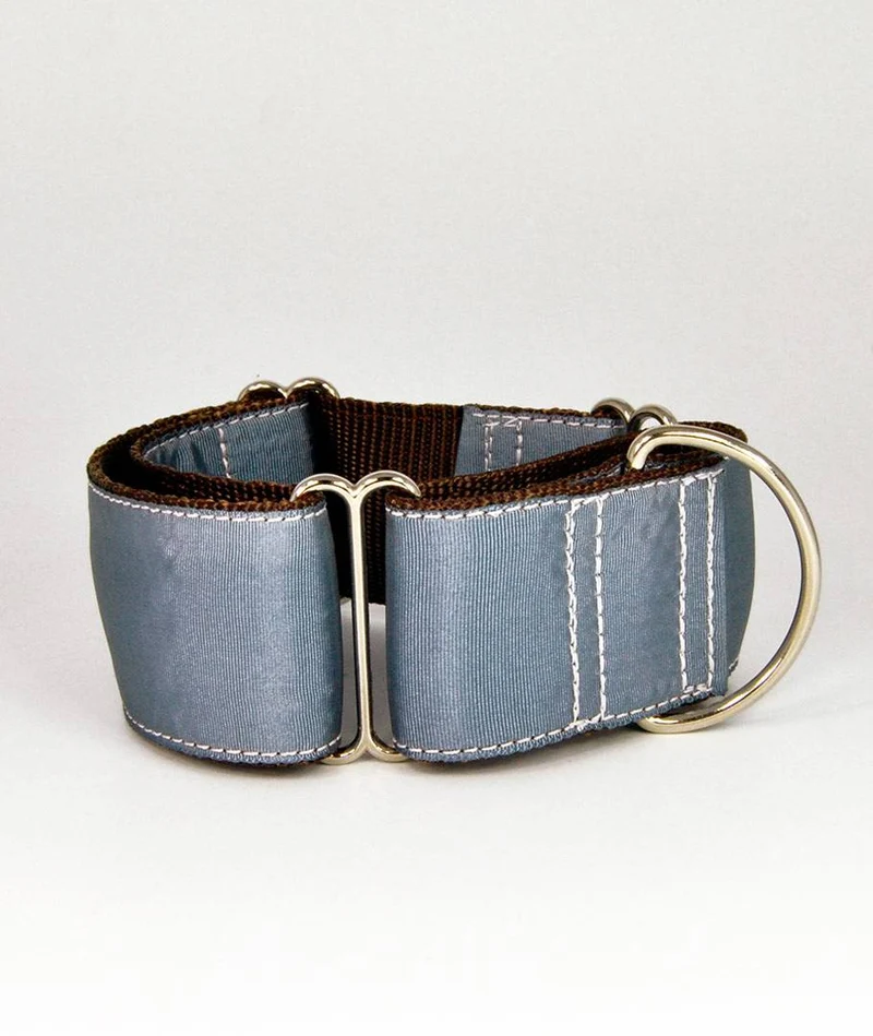 Collar para perro Solid Grey