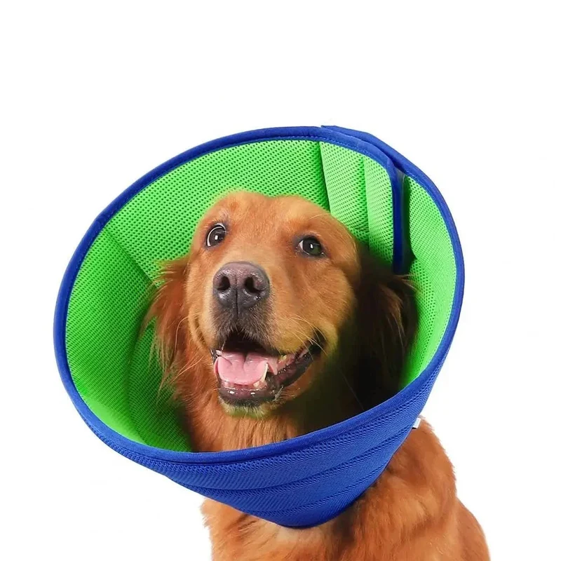 Collerette pour chien
