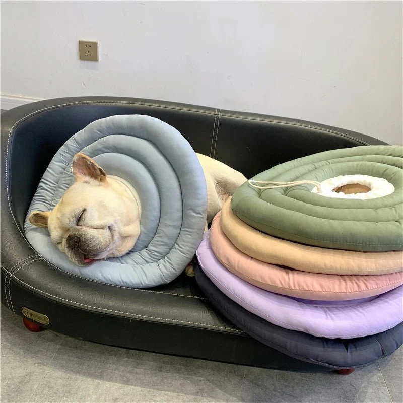 Collerette ajustable pour chien