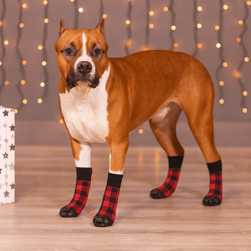 Chaussette ajustable anti-dérapante pour chien