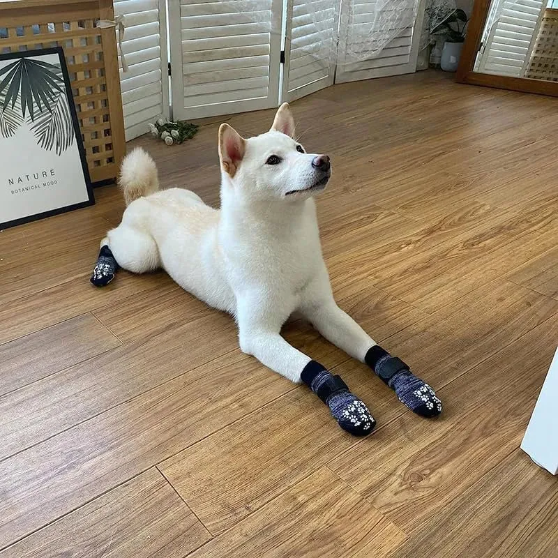 Chaussette anti-dérapante pour chien