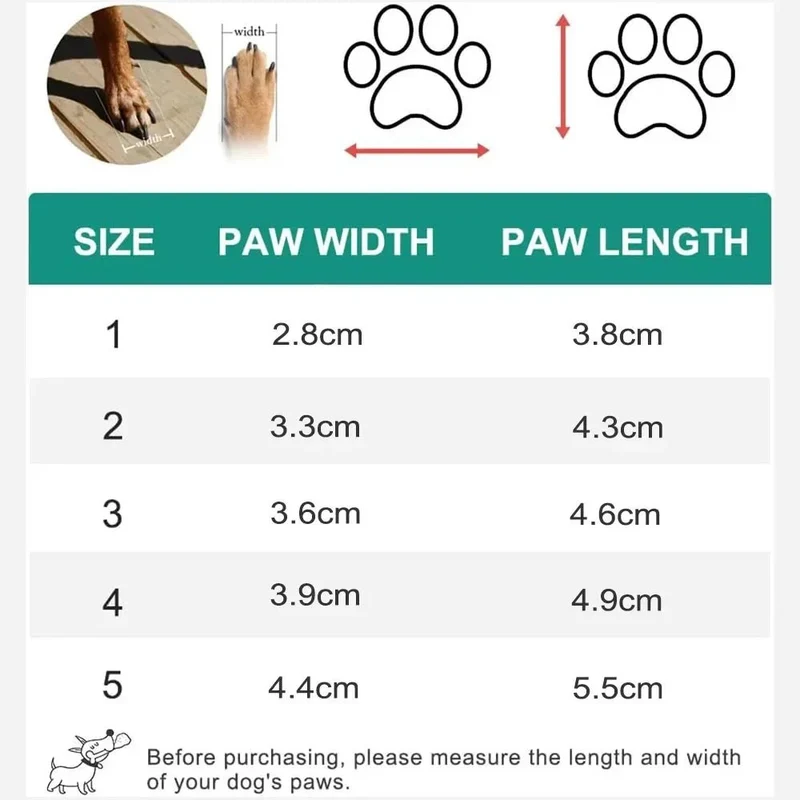 Chaussure pour chien