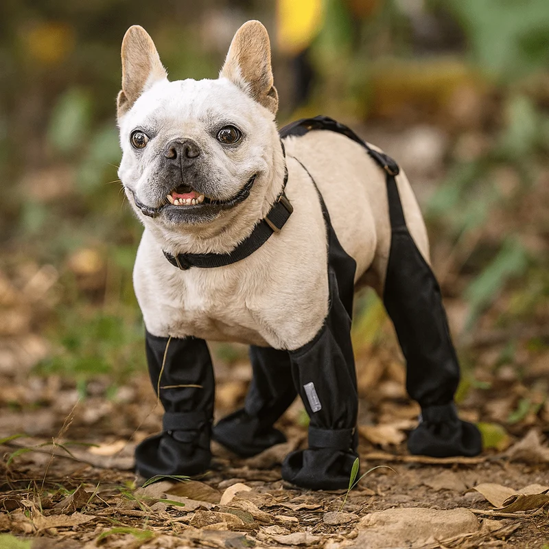 Bottes a bretelle pour chien