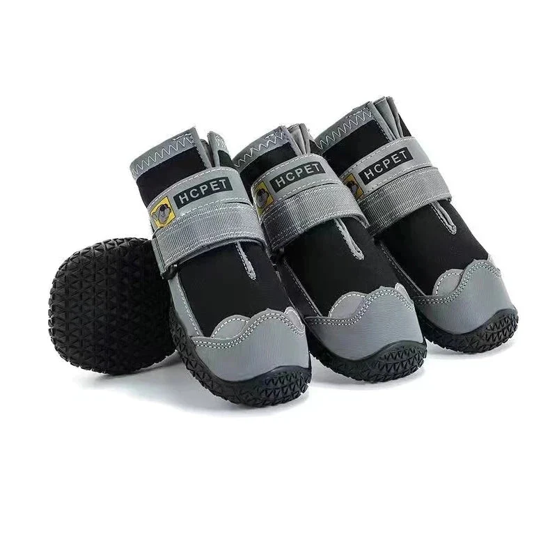Bottes de protection pour chien