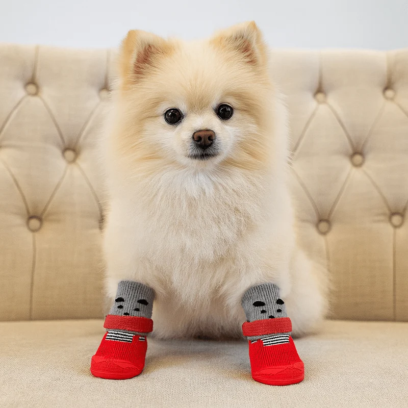 Bottes pour chien qui tiennent