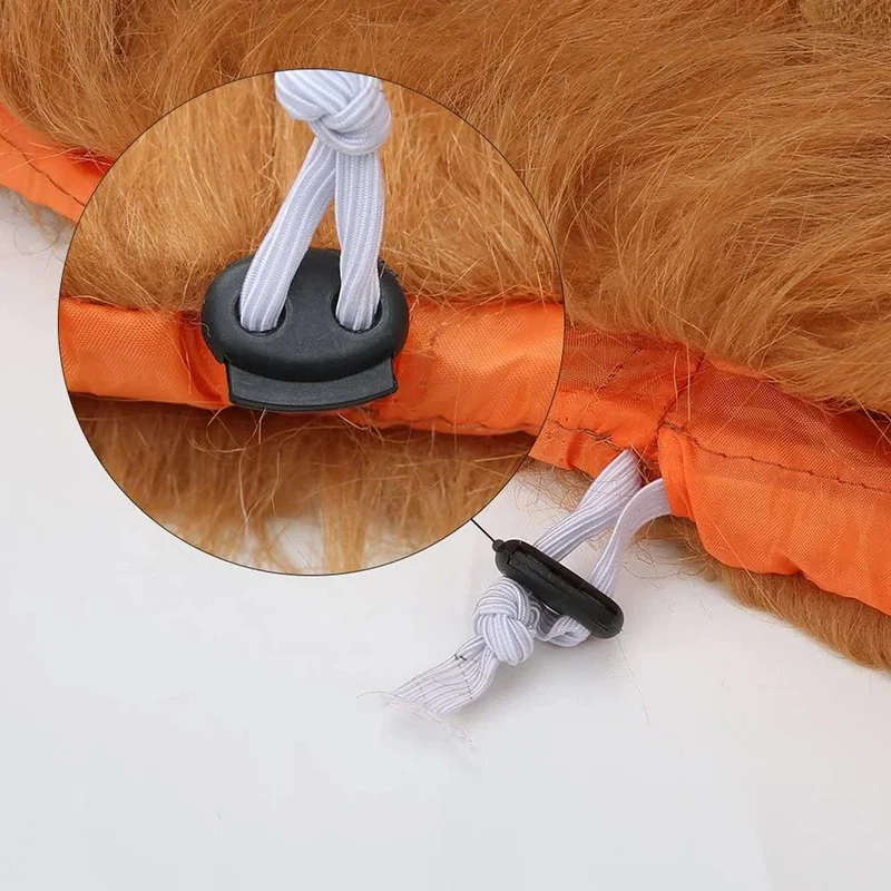 Crinière de Lion pour chien