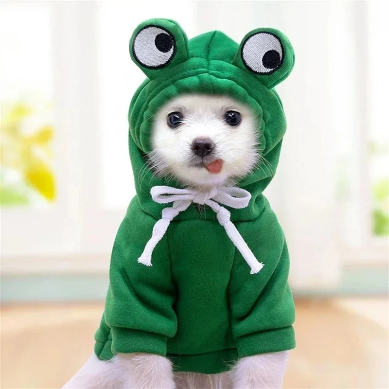 Déguisement animaux pour chien
