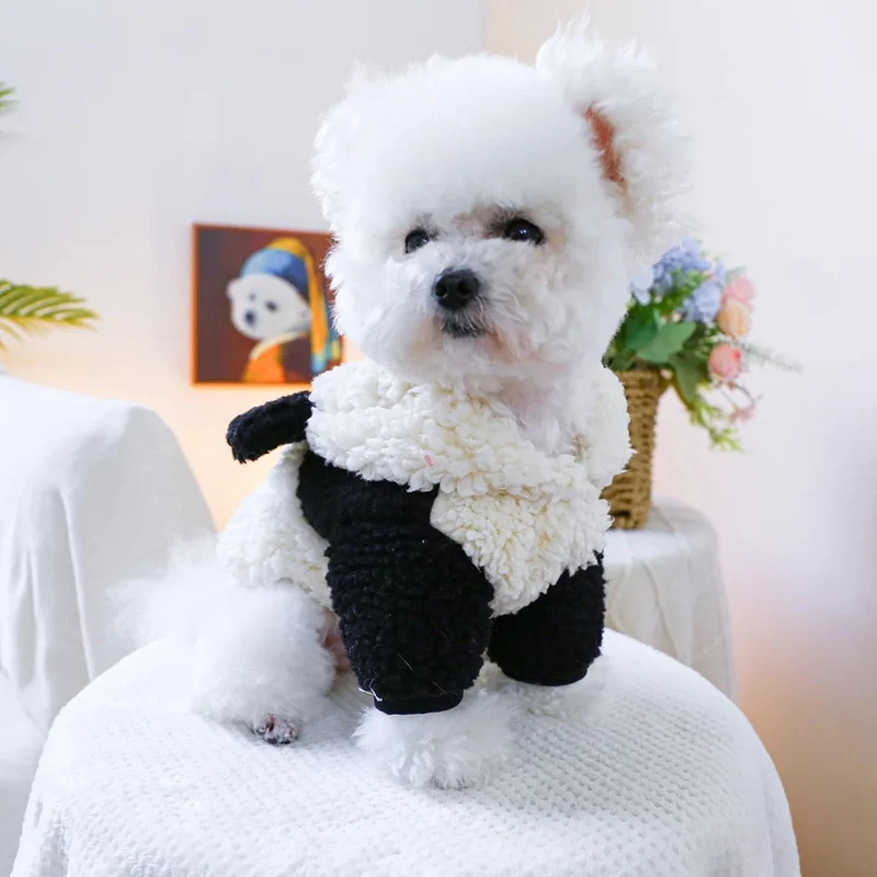 Déguisement panda pour petit chien