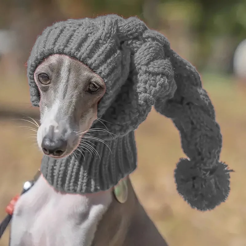 Bonnet cagoule pour chien