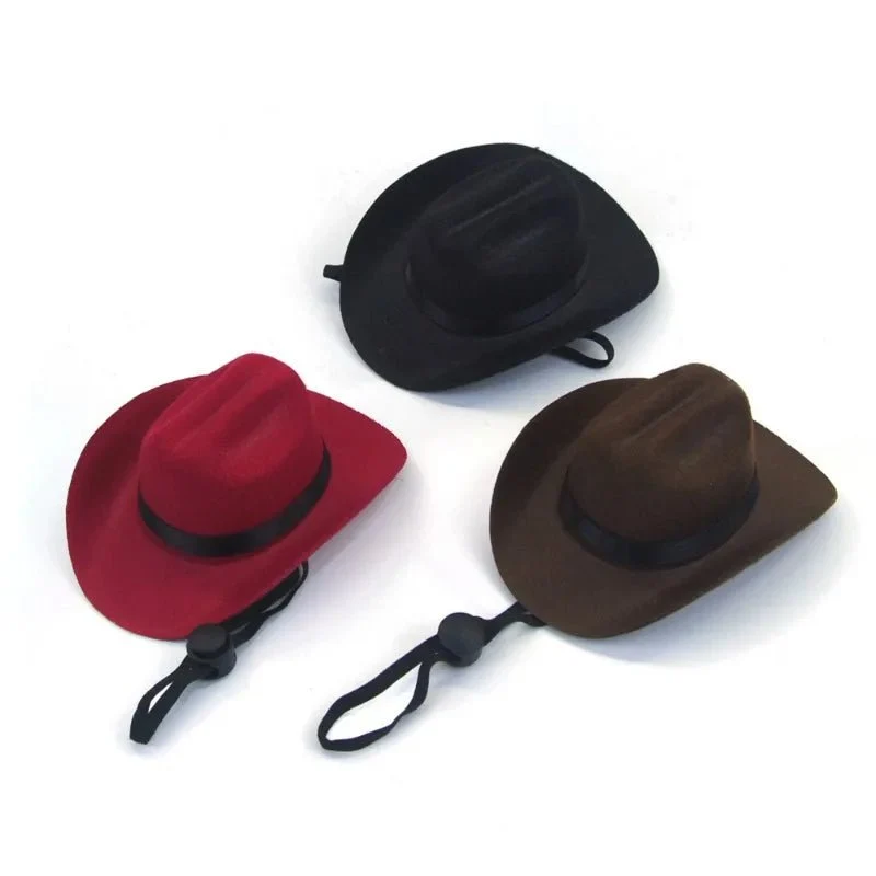 Chapeau Cowboy pour chien
