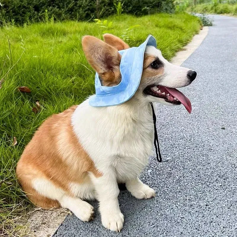 Bob pour petit chien