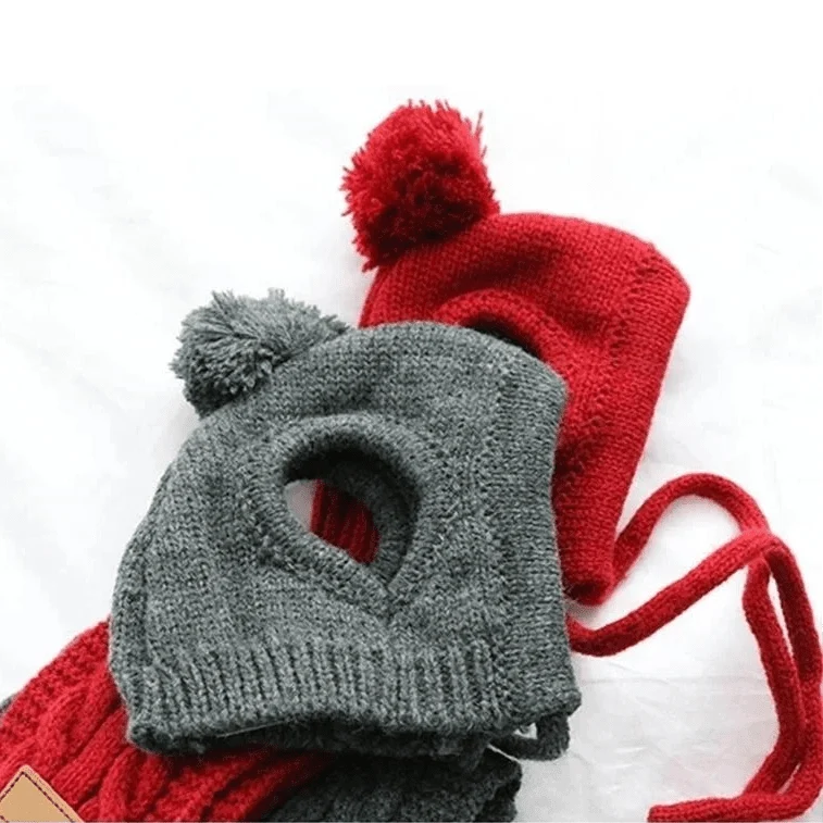 Bonnet avec écharpe pour chien