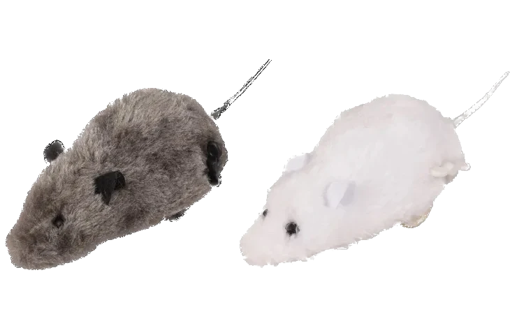 Petite souris pour chats